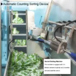 Automatic Multi Sachet Bags Sorting Secondary Packing Machine for Sachets Box Packing Machine Stick Pouch Carton Packing Machine