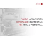 Oyang 650z Flexible Packaging Plastic Stand up Pouch Bag Making Machine - Image 5