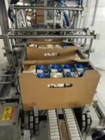 Wraparound & Tray Packer Machine Fully Automatic Case Packing Automatic Case Packaging Machine - Image 5