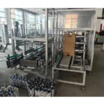 Wraparound & Tray Packer Machine Fully Automatic Case Packing Automatic Case Packaging Machine