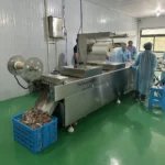 Environmentally-Friendly Stretch-Film Industrial Vacuum Food Packaging Machine for Frozen Seafood Processing Plant - Image 2