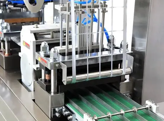 Dpp-260 Automatic Blistering Machine Alu-PVC Blister Packaging Machine for Efficient Production - Image 9