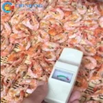 Industrial Tunnel Microwave Seafood Shrimp Scallop Dryer Drying Roasting Baking Machine - Image 3