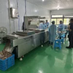 Environmentally-Friendly Stretch-Film Industrial Vacuum Food Packaging Machine for Frozen Seafood Processing Plant - Image 5