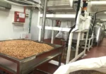 Peanut Butter Production Line / Machine (Lifetime after-sales service) - Image 11