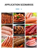 Stainless Steel 304 Vacuum Portion Sausage Making Filling Machine with CE - Image 8